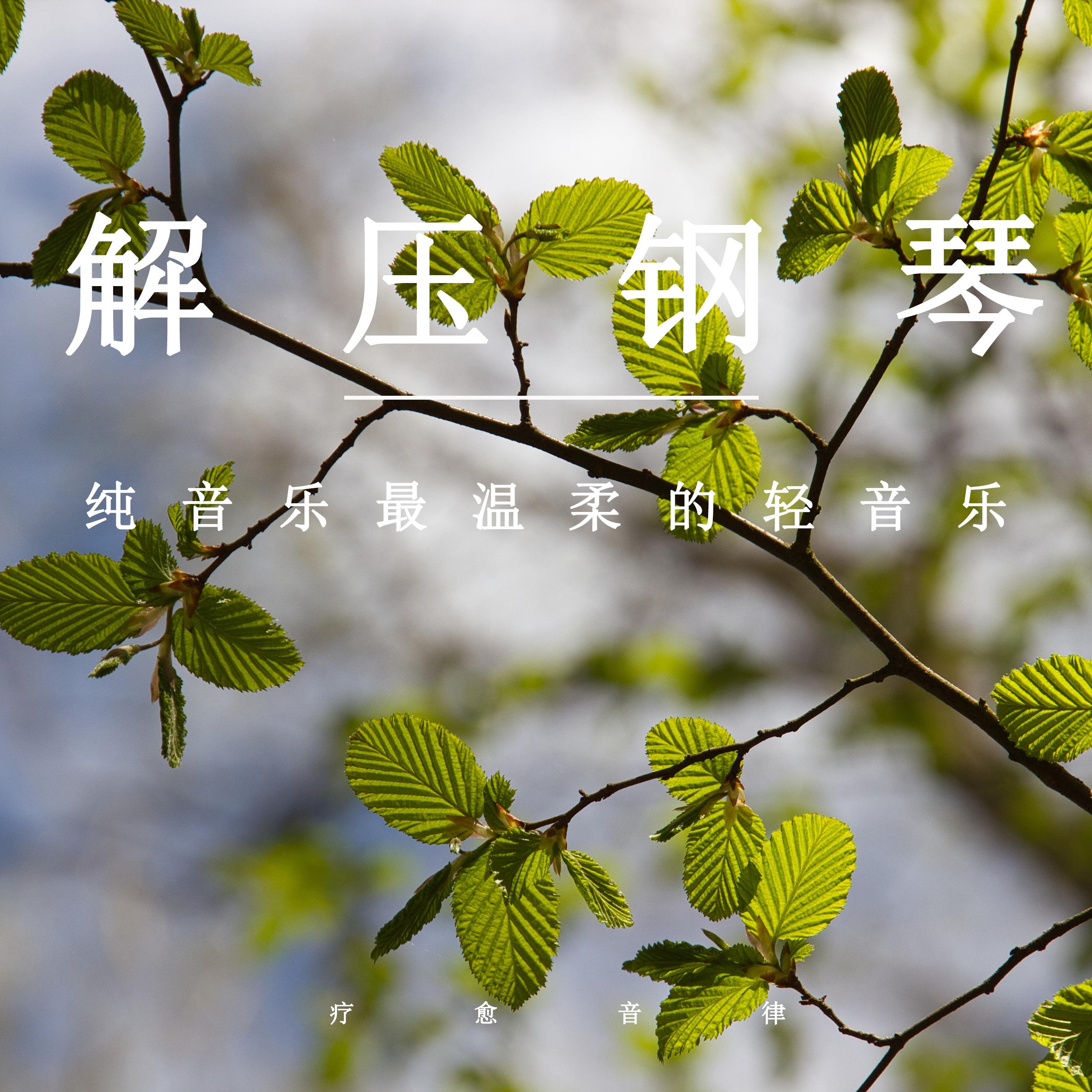 解压钢琴纯音乐最温柔的轻音乐