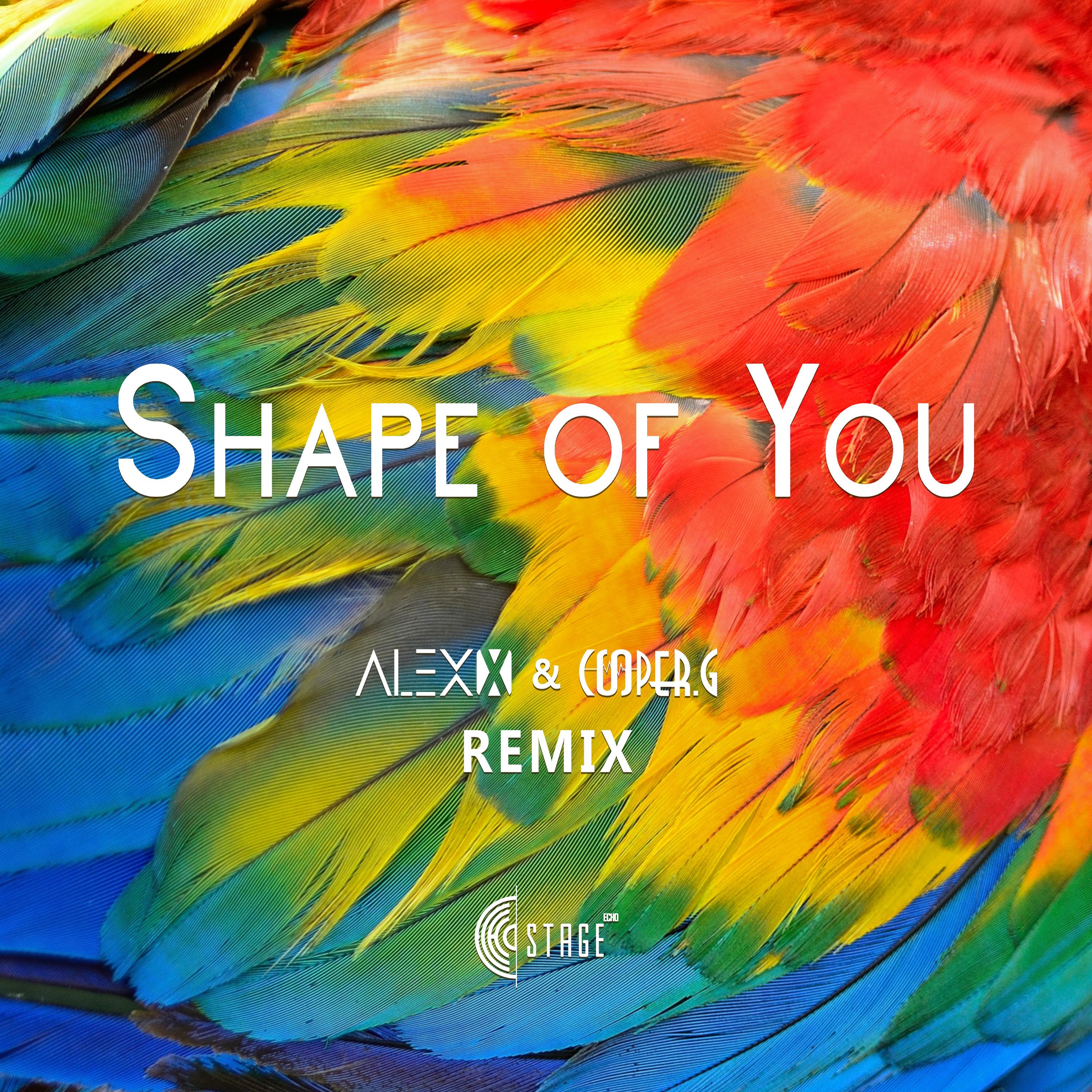 Ed Sheeran - Shape of You(Alex x & Cooper.G Remix)