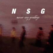 NSG