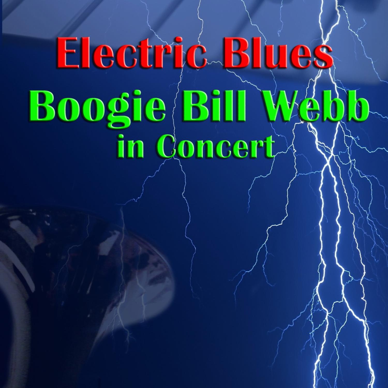 Electric Blues - Boogie Bill Webb In Concert