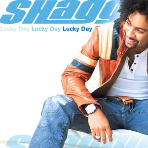 Shaggy - The Strength of a Woman (PT karaoke) 带和声伴奏 （升6半音）