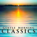 Gentle Morning Classics专辑