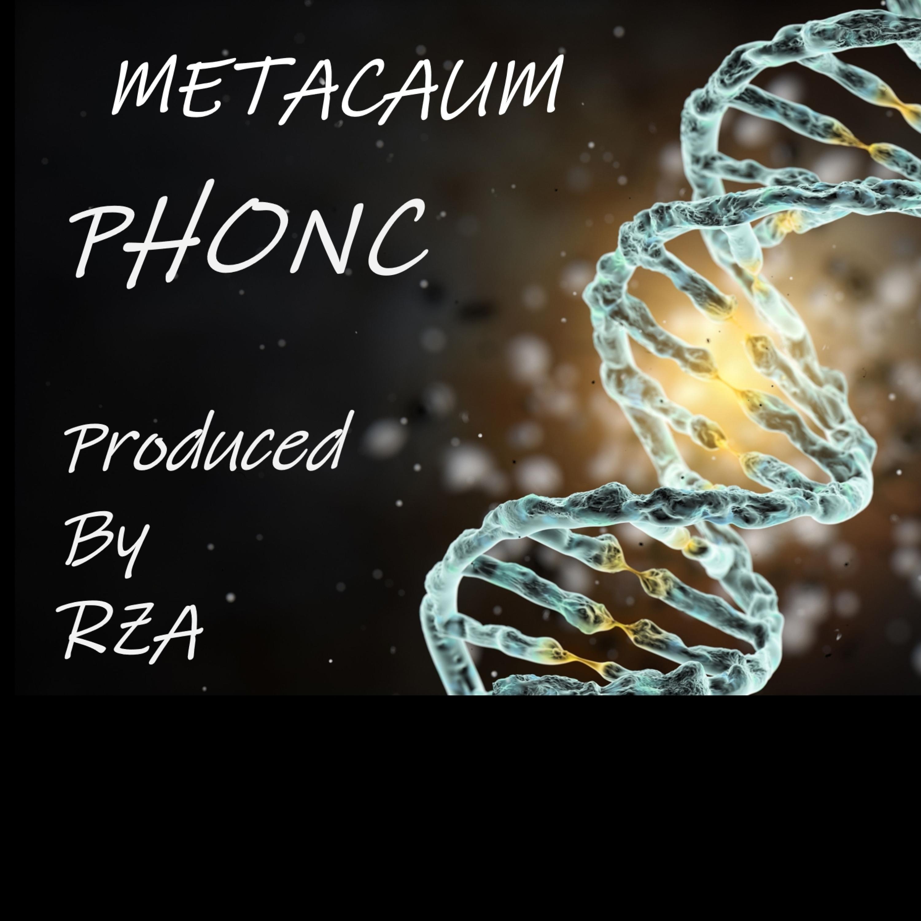 PHONC (feat. RZA)