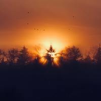 Sunshine、福啾梦想社(巧克力烟花)原版伴奏