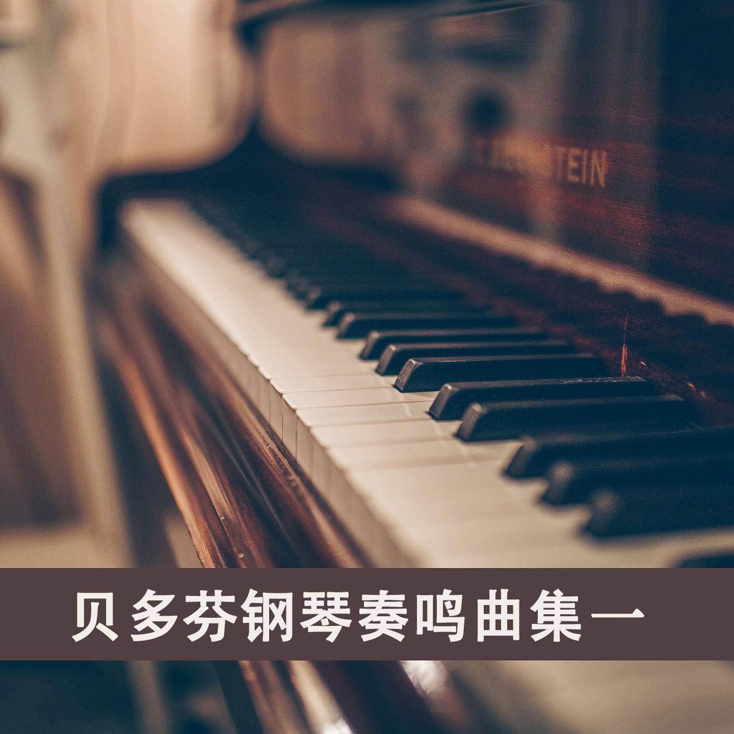 贝多芬钢琴奏鸣曲集一