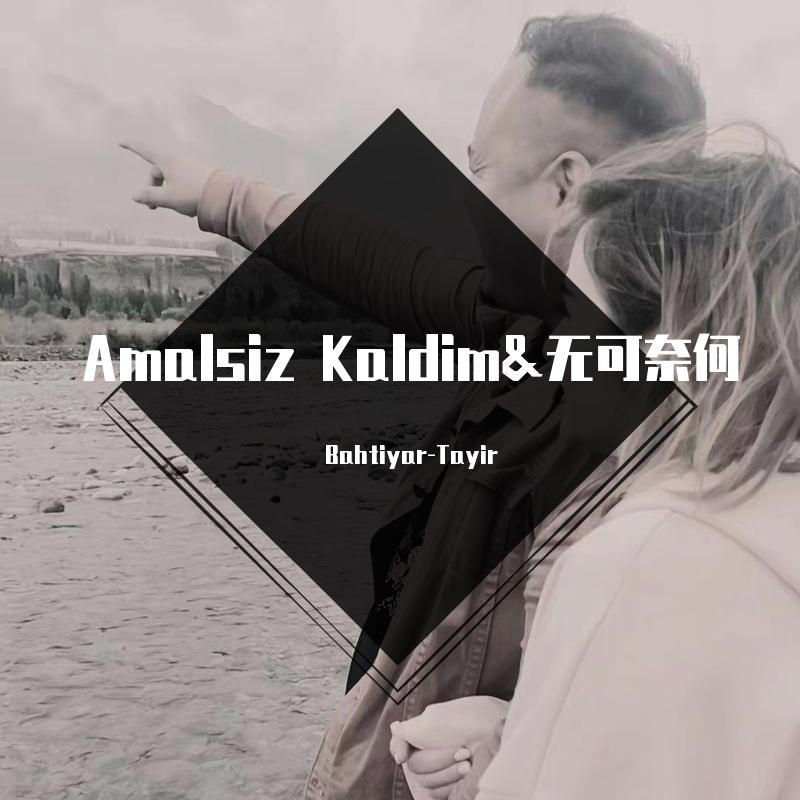 Amalsiz Kaldim&无可奈何