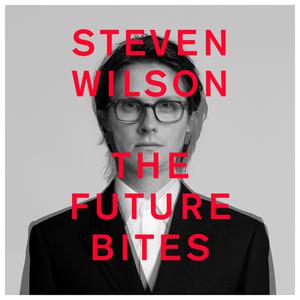 12 Things I Forgot - Steven Wilson (BB Instrumental) 无和声伴奏
