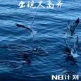 出现又离开