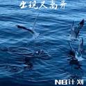 出现又离开专辑