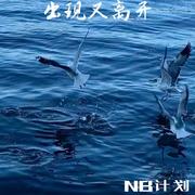 出现又离开