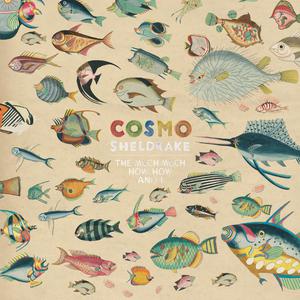 Cosmo Sheldrake - Come Along (Karaoke Version) 带和声伴奏