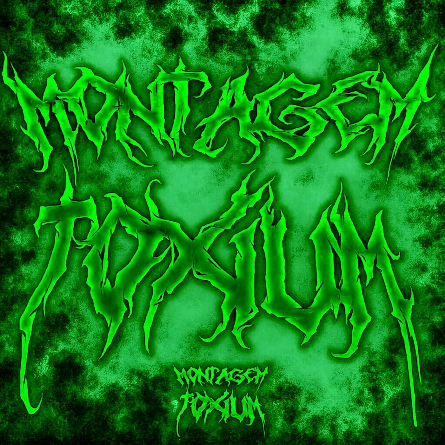 MONTAGEM TOXIUM Slowed