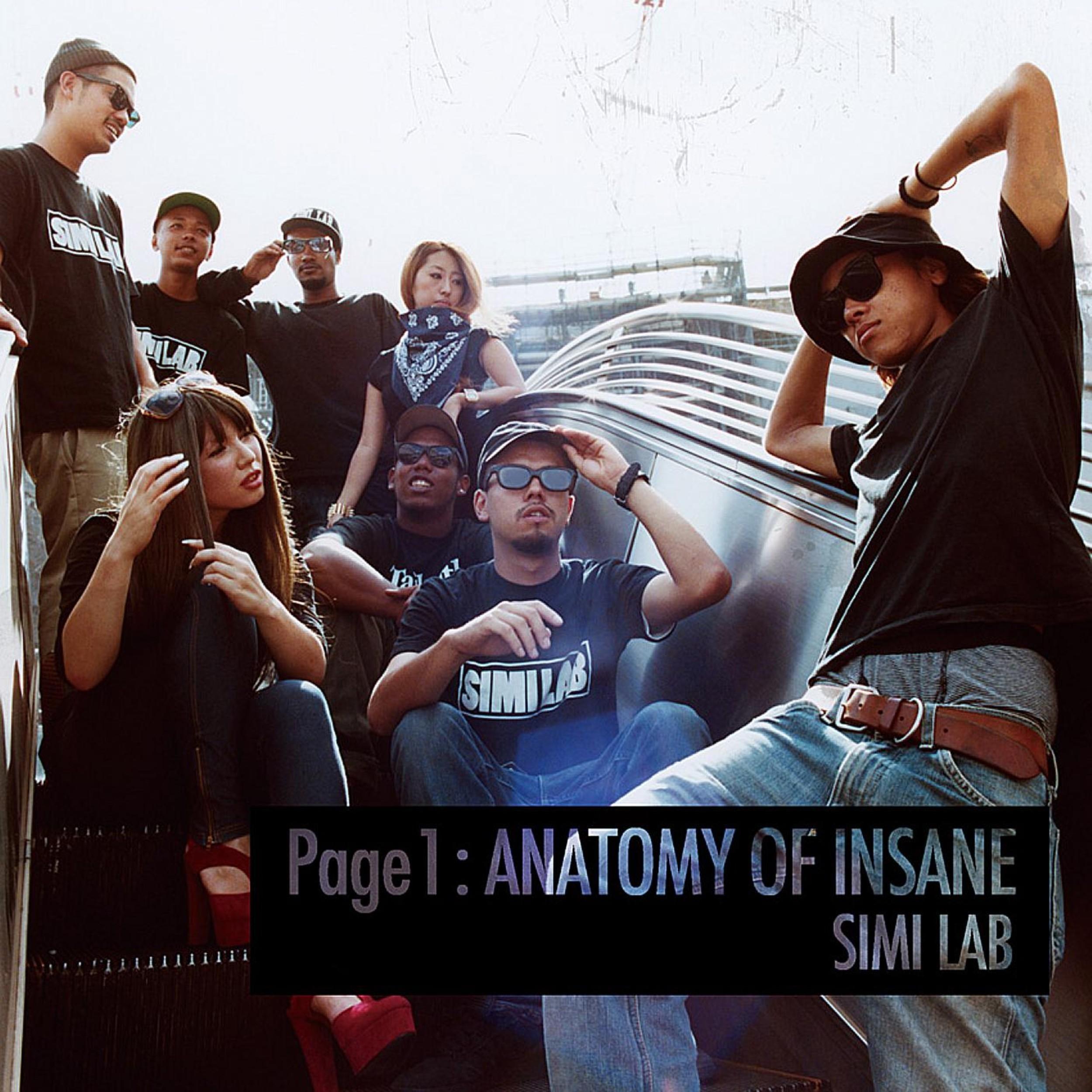 Page 1 : ANATOMY OF INSANE