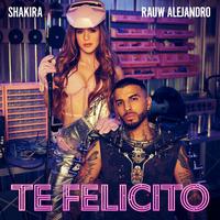 Shakira & Rauw Alejandro - Te Felicito (unofficial Instrumental) 无和声伴奏