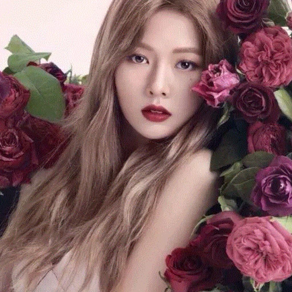 KPOP 舞曲 ┃ 不一样的节奏