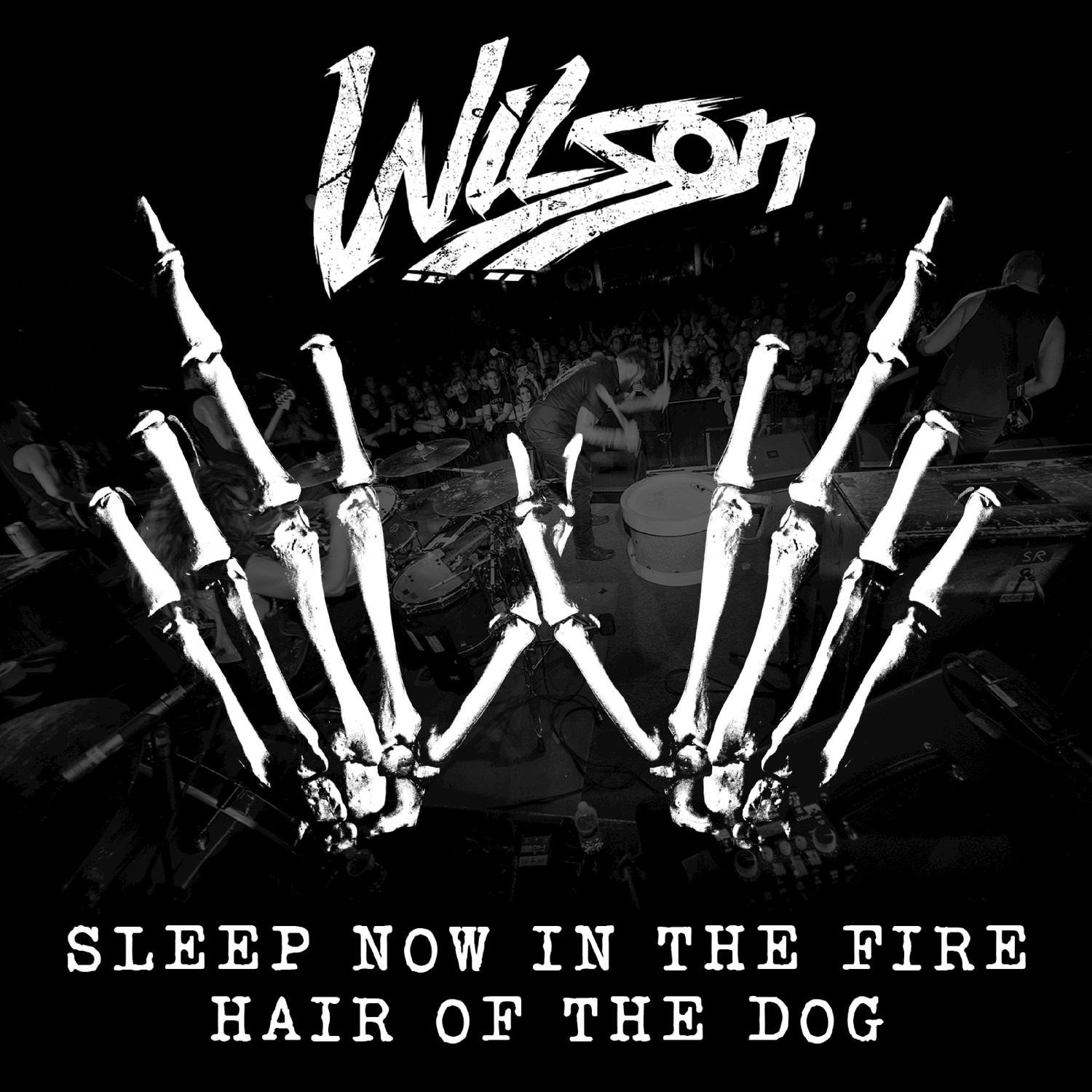 Sleep Now In the Fire / Hair of the Dog专辑