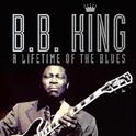 A Lifetime of the Blues专辑