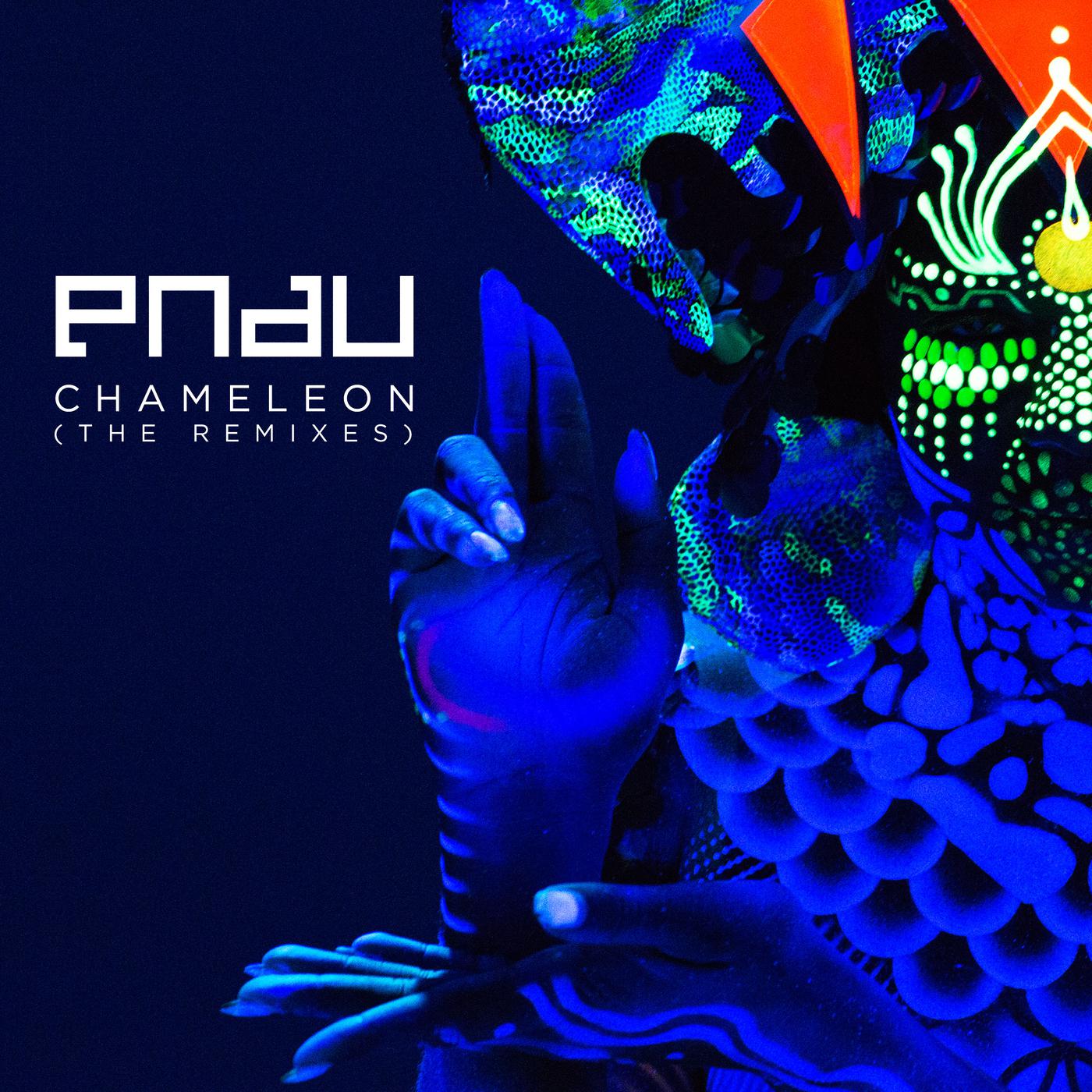 Chameleon (Remixes)专辑