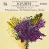 Pittsburgh Symphony Orchestra - Symphony No. 8 in B Minor, D. 759 