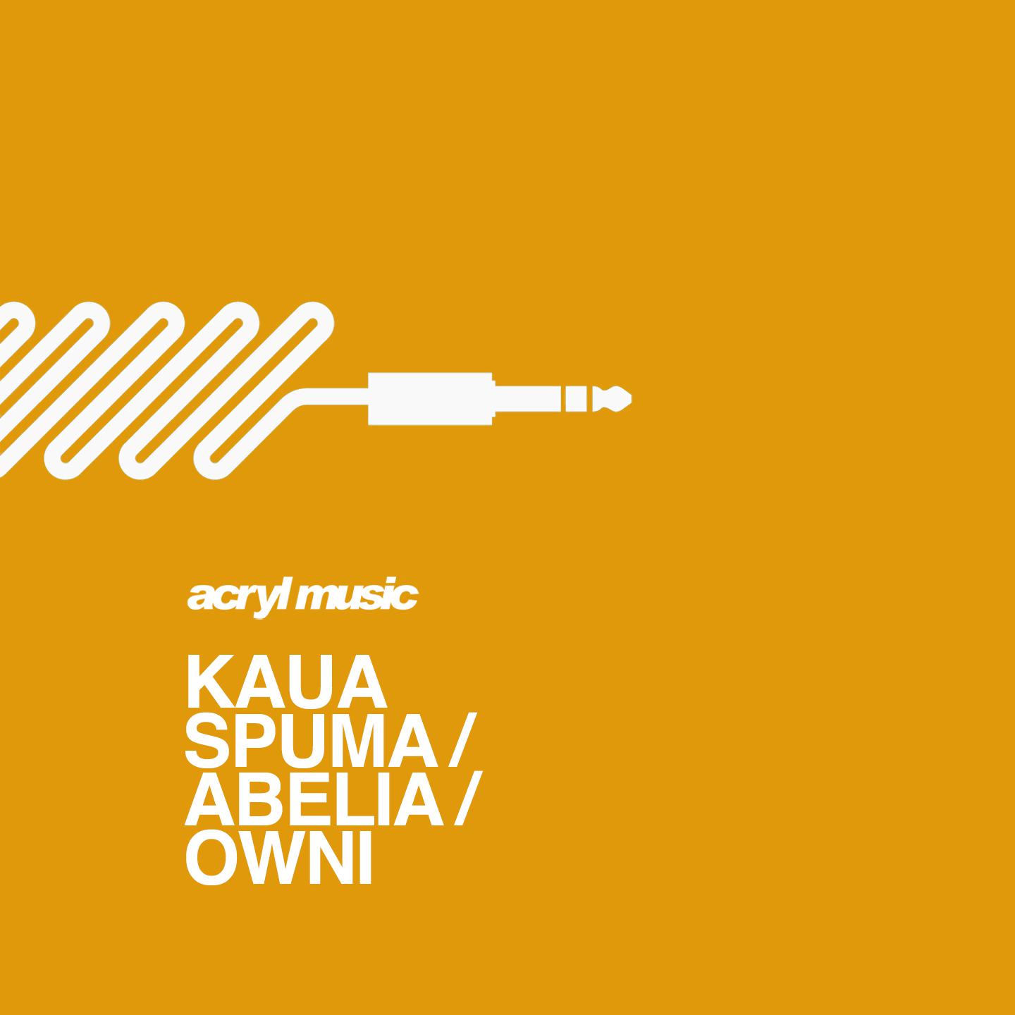 Kaua - Abelia