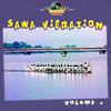 Sawa Vibration, Vol. 1专辑