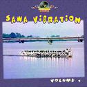 Sawa Vibration, Vol. 1专辑