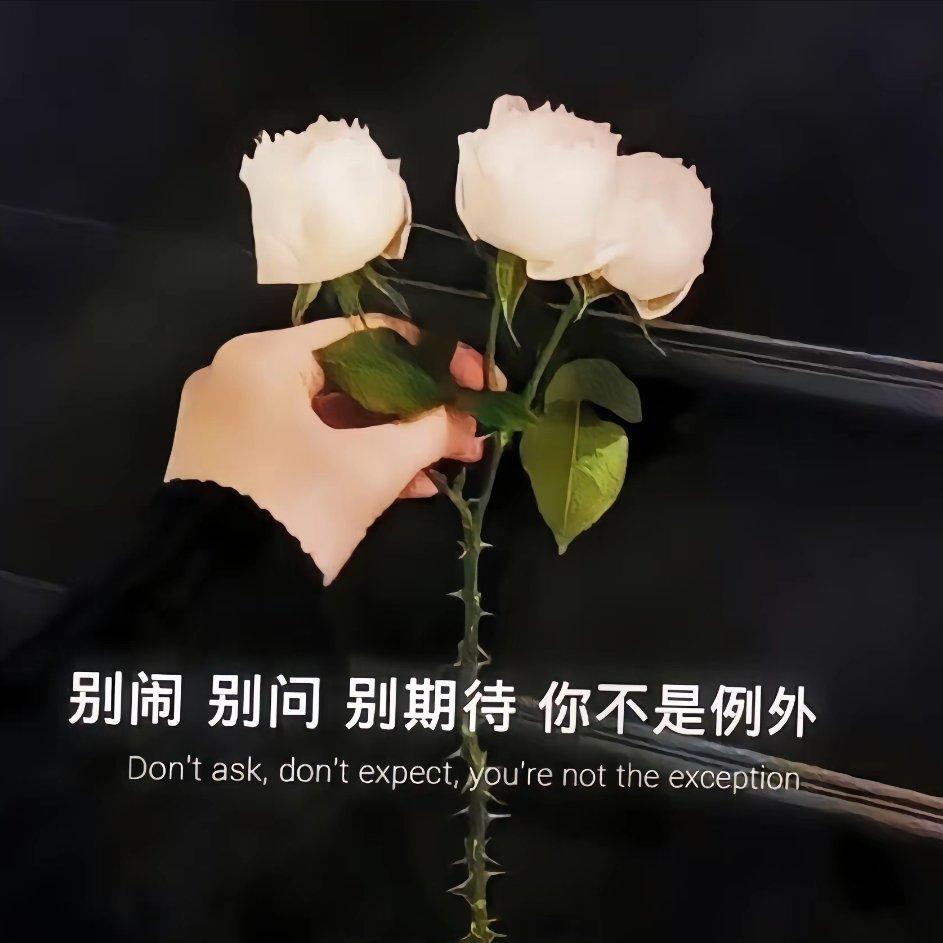 失去爱人的能力，比遇不到爱更可怕 | 在线播放 | 网易云音乐