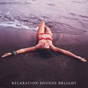 Relaxation Sounds Delight – Music for Spa, Wellness专辑