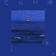 夏夜回溯的海
