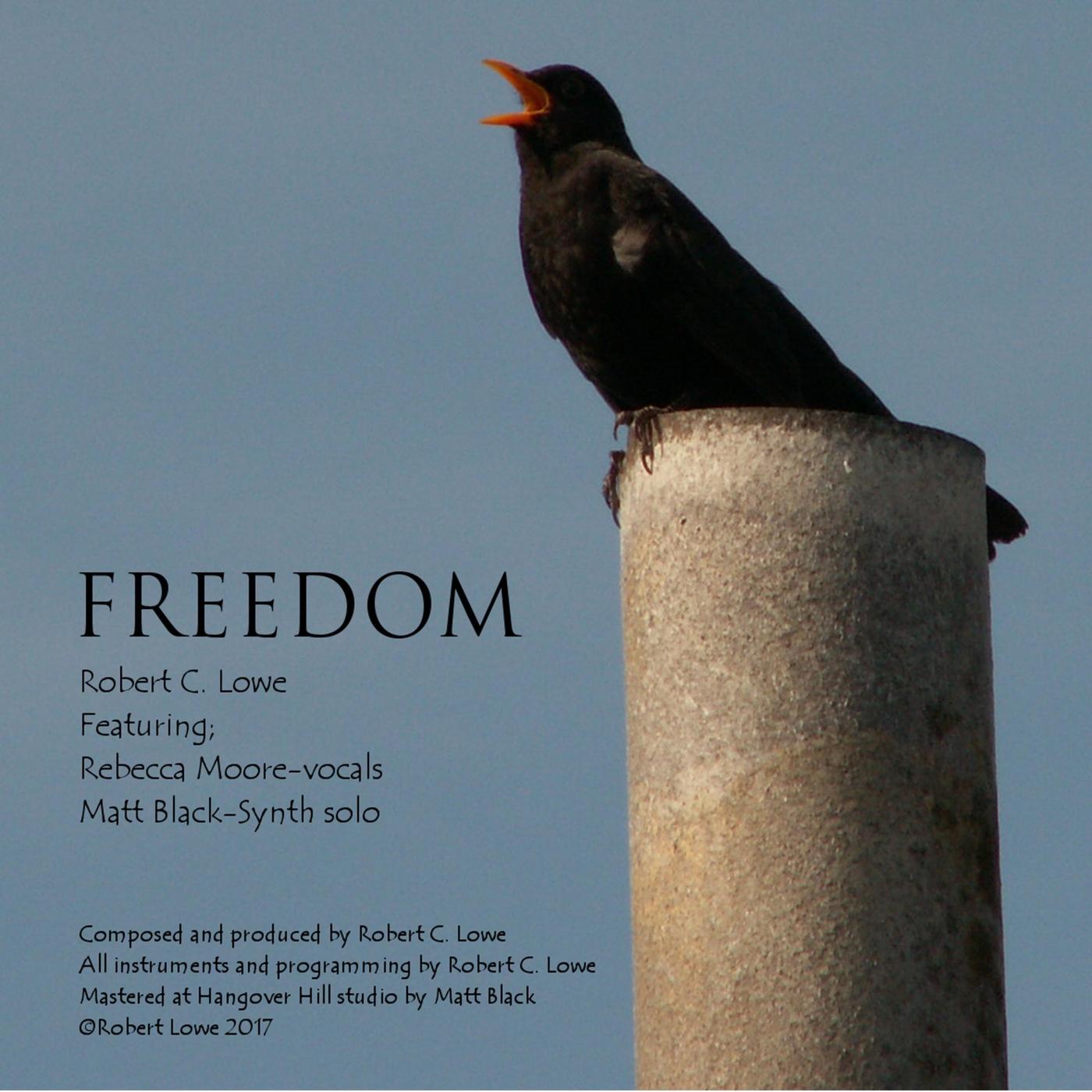 Freedom (feat. Rebecca Moore & Matt Black)