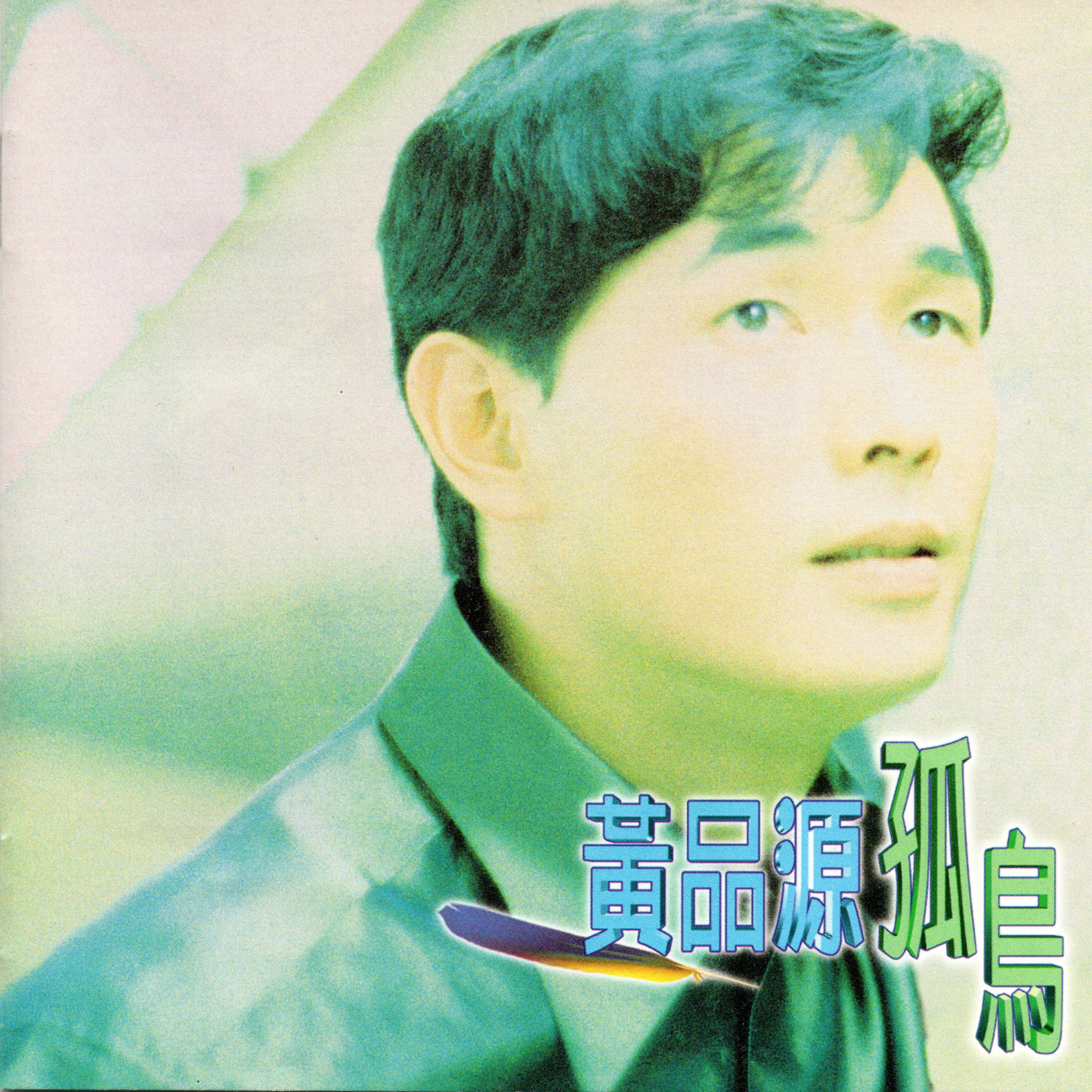 孤鸟