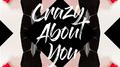 Crazy About You (Remixes)专辑