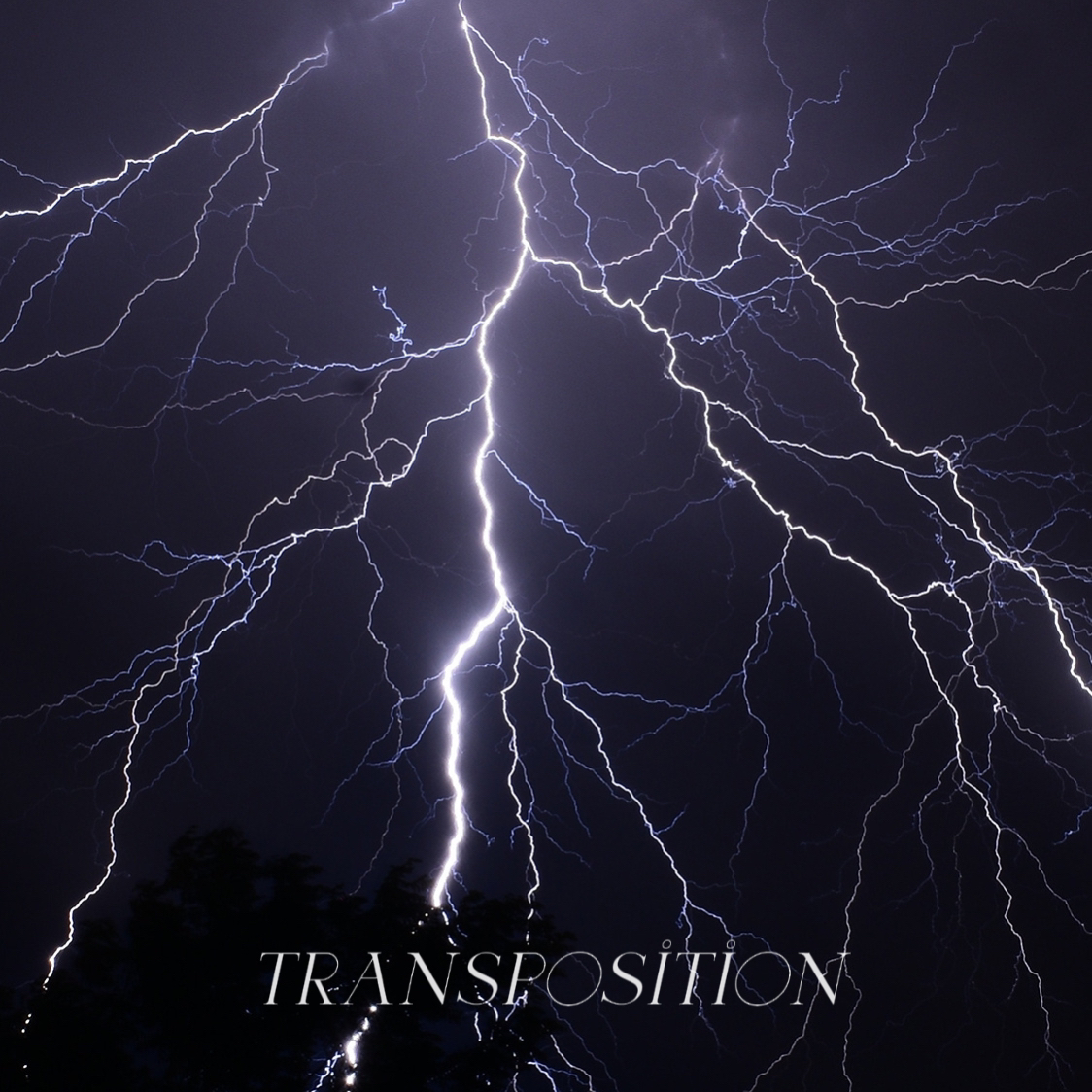Transposition专辑