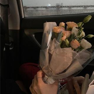 暗格里的秘密/因为他说“彼方尚有荣光在”