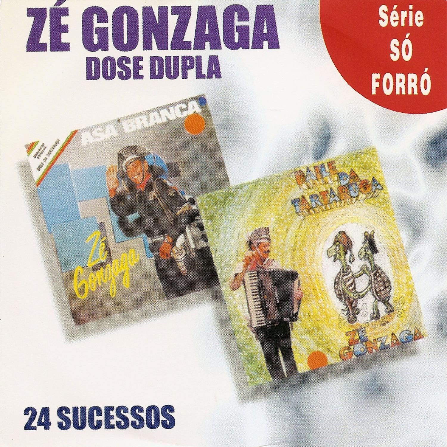 Dose Dupla. 24 Sucessos