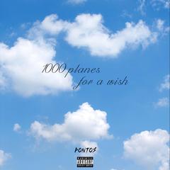 1000 planes for a wish