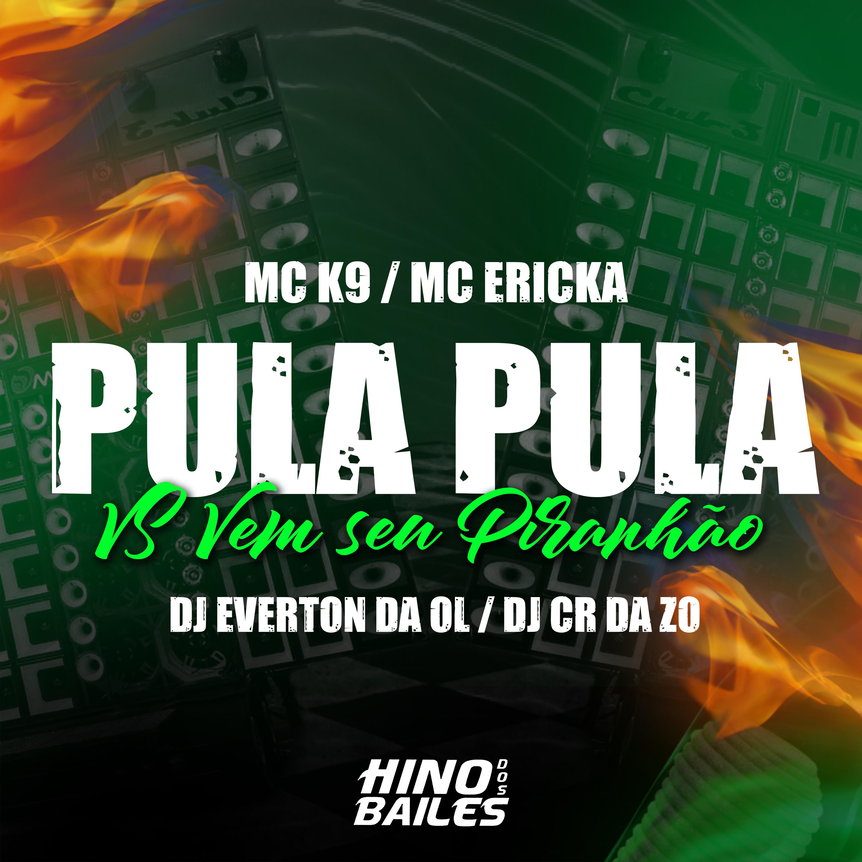 Pula Pula Vs Vem Seu Piranhão