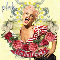 Nobody Knows - Pink