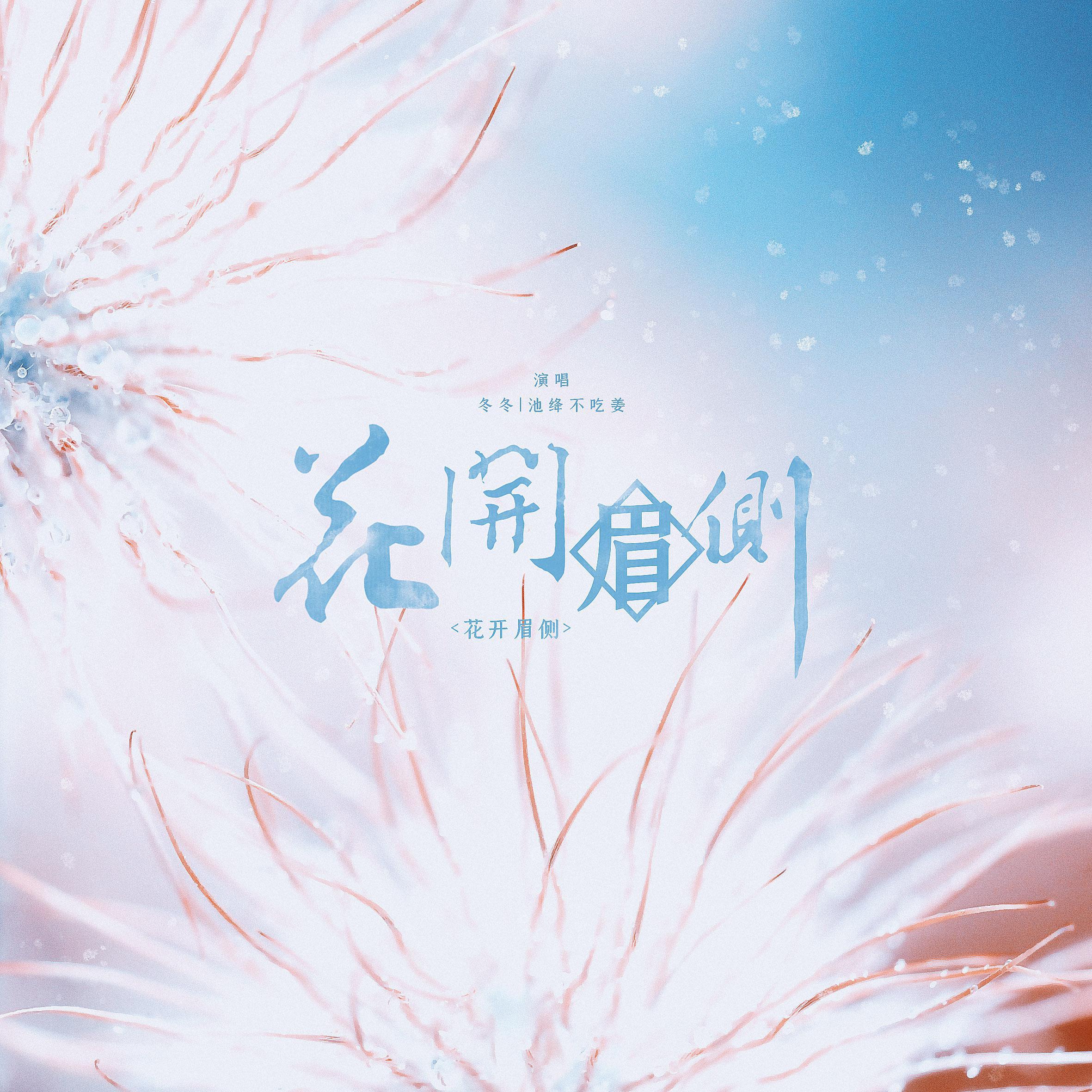 “破晓时刻，花开眉侧”