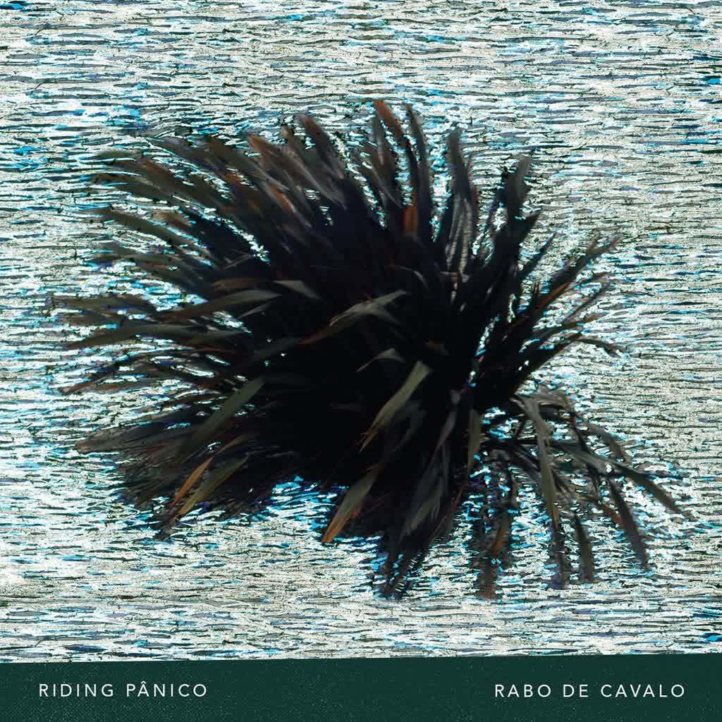Rabo de Cavalo