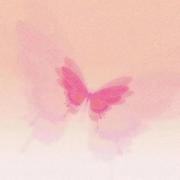 Euphoria (欣快)