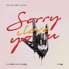 StrayKids-Sorry,l love you