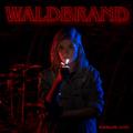 Waldbrand EP