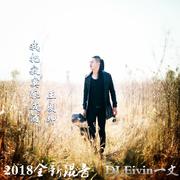 伴奏版 我把寂寞酿成酒 DJ版（翻自 王朗坤）