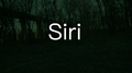 Endless Loop(From The Motion Picture SIRI Theme)专辑