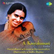 A Kanyakumari Vadya Lahari Violin