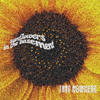 1990nowhere - Sunflowers in the Basement