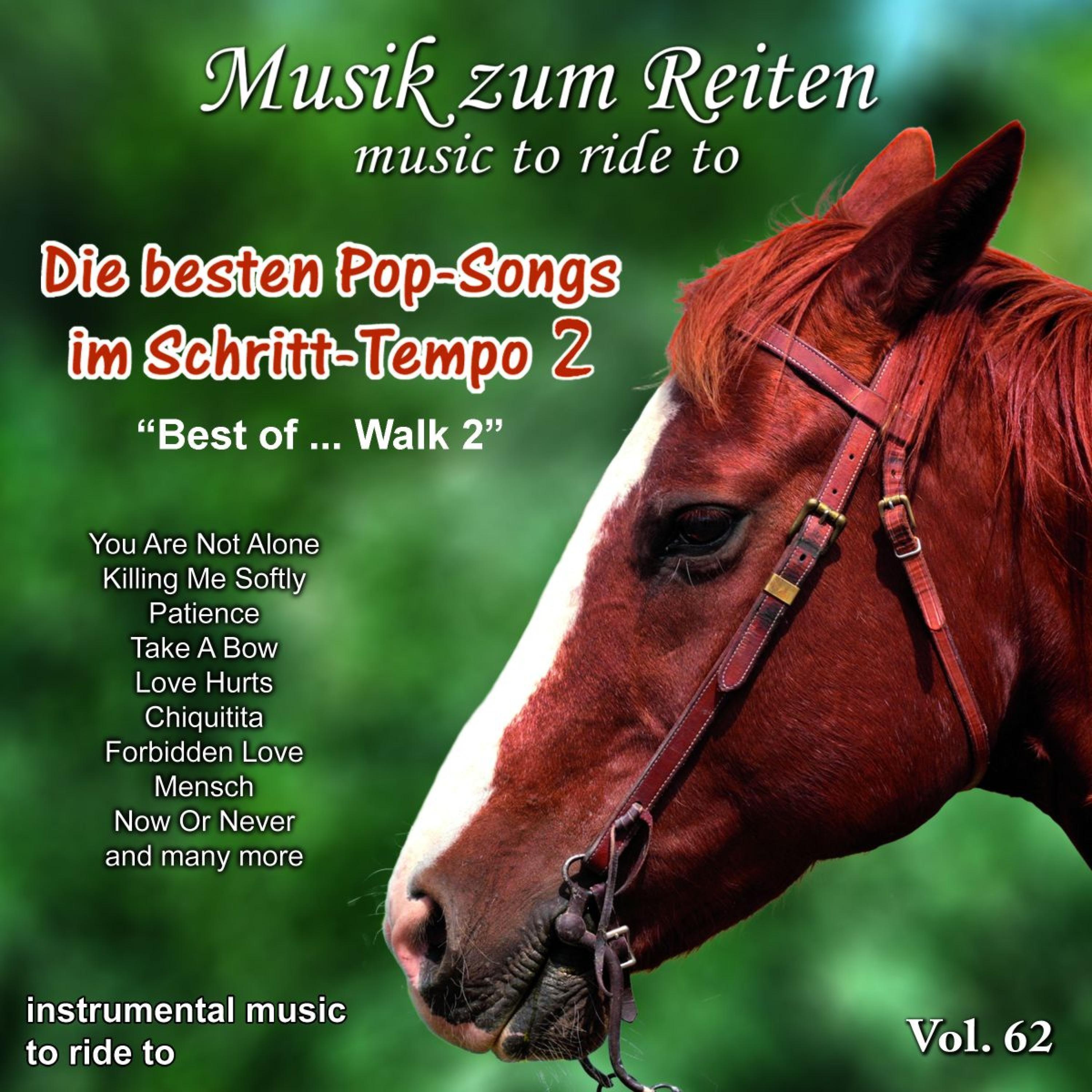 Die Besten Pop Songs Im Schritt-Tempo / For Walk, Vol. 2