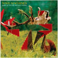 Punk Spirit - Wave Machines (歌曲试听）