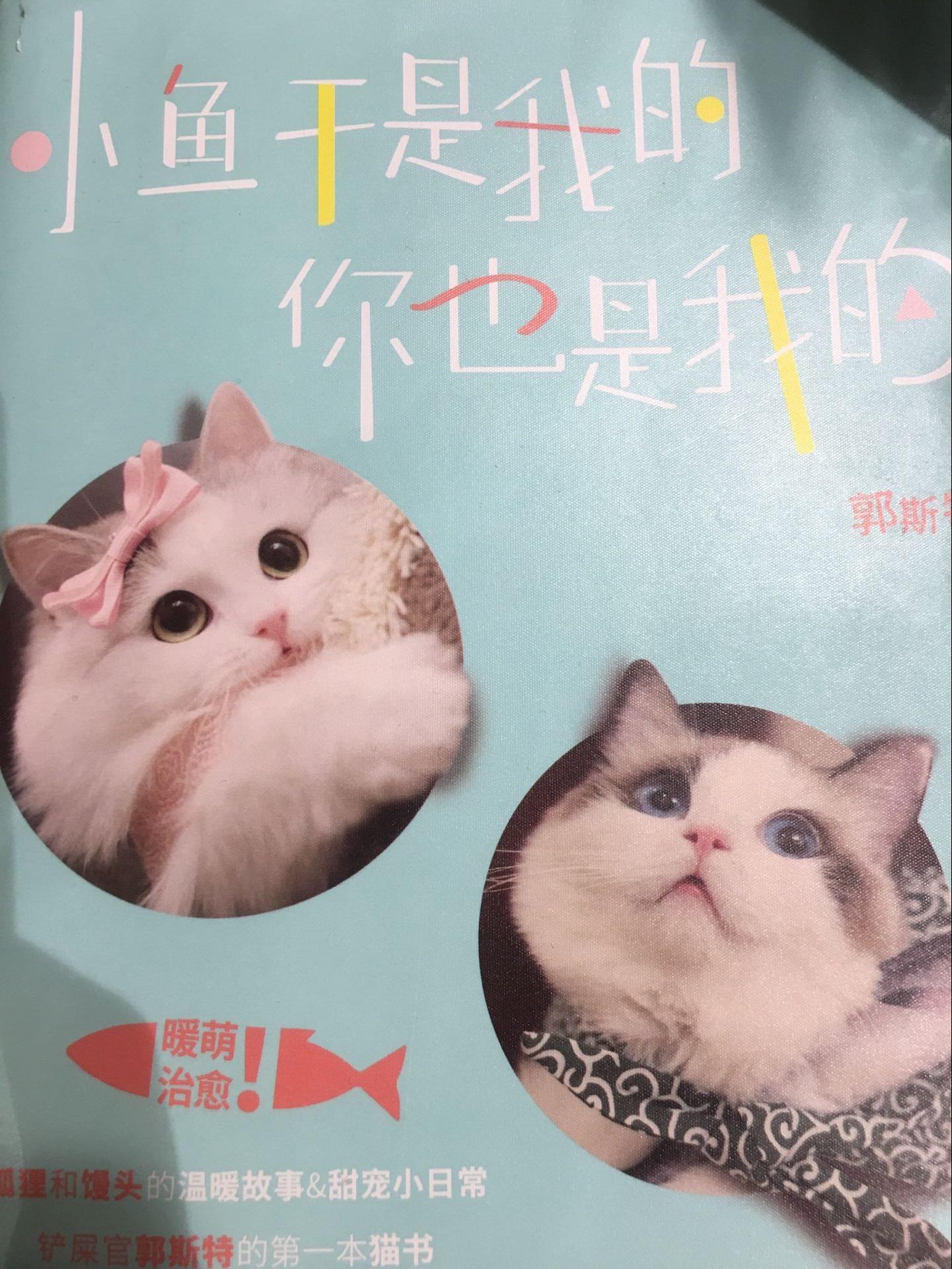 翻唱集专辑
